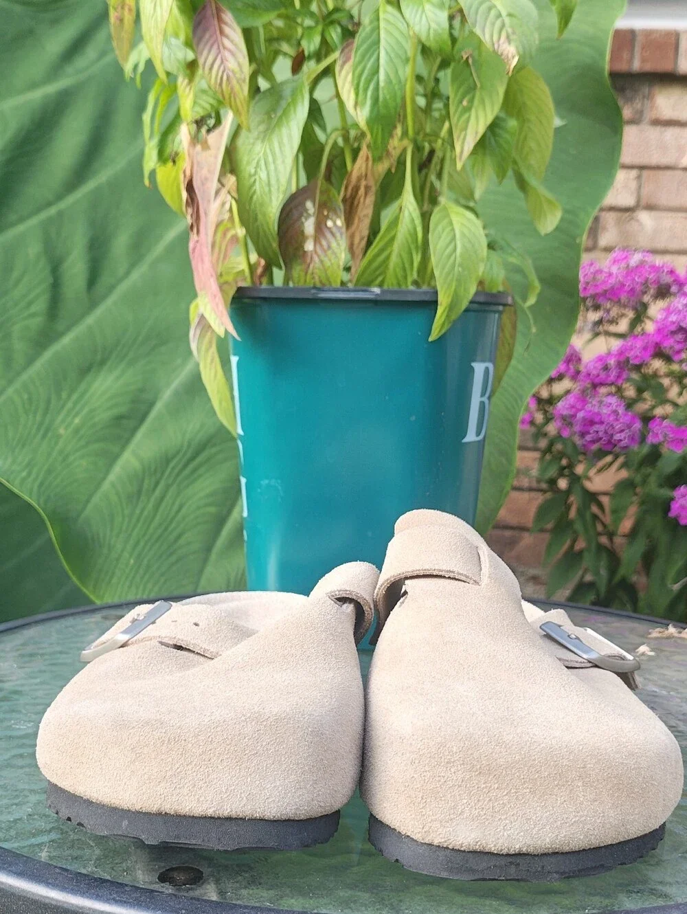 Quince Beige Suede Slip-On Clogs with Buckle - Picture 2 of 7